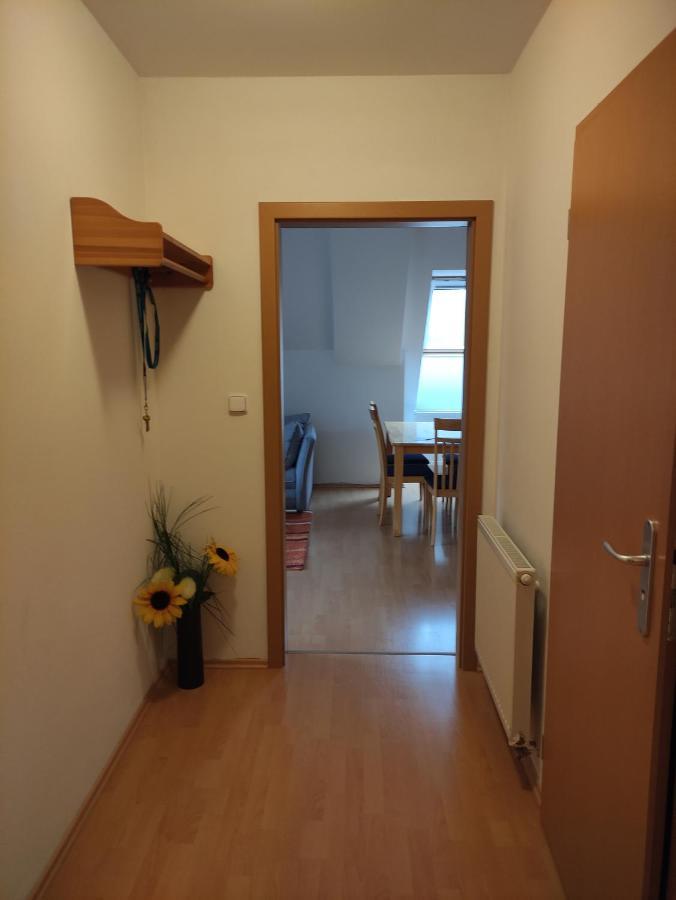 Apartman Labska Daire Špindlerŭv Mlýn Dış mekan fotoğraf